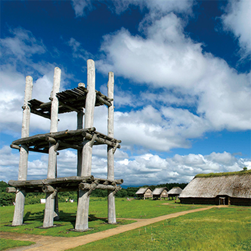 三内縄文ベリーランド（観光農園）は「三内丸山遺跡」の川を挟んだ対岸にあります