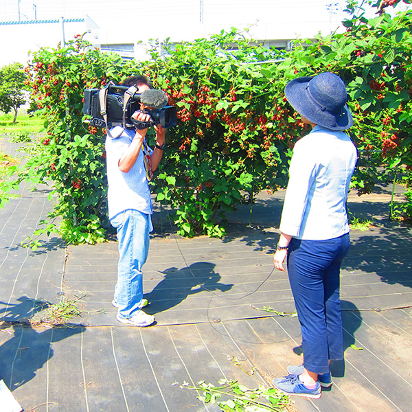 NHK　昼・夕・晩・深夜　全国ニュース