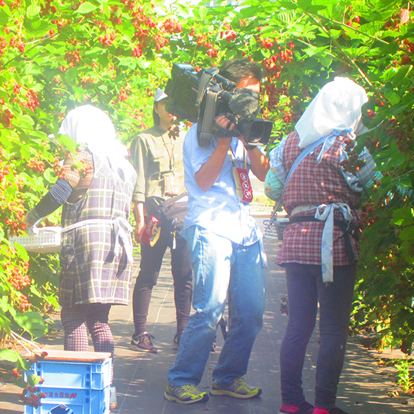 NHK　昼・夕・晩・深夜　全国ニュース