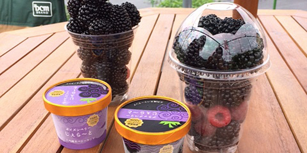 ブラックベリーのアイス・ジェラート・ジャム